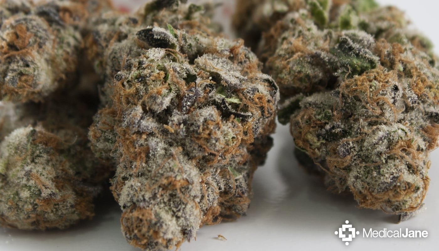 Platinum Cookies Marijuana Strain (review)