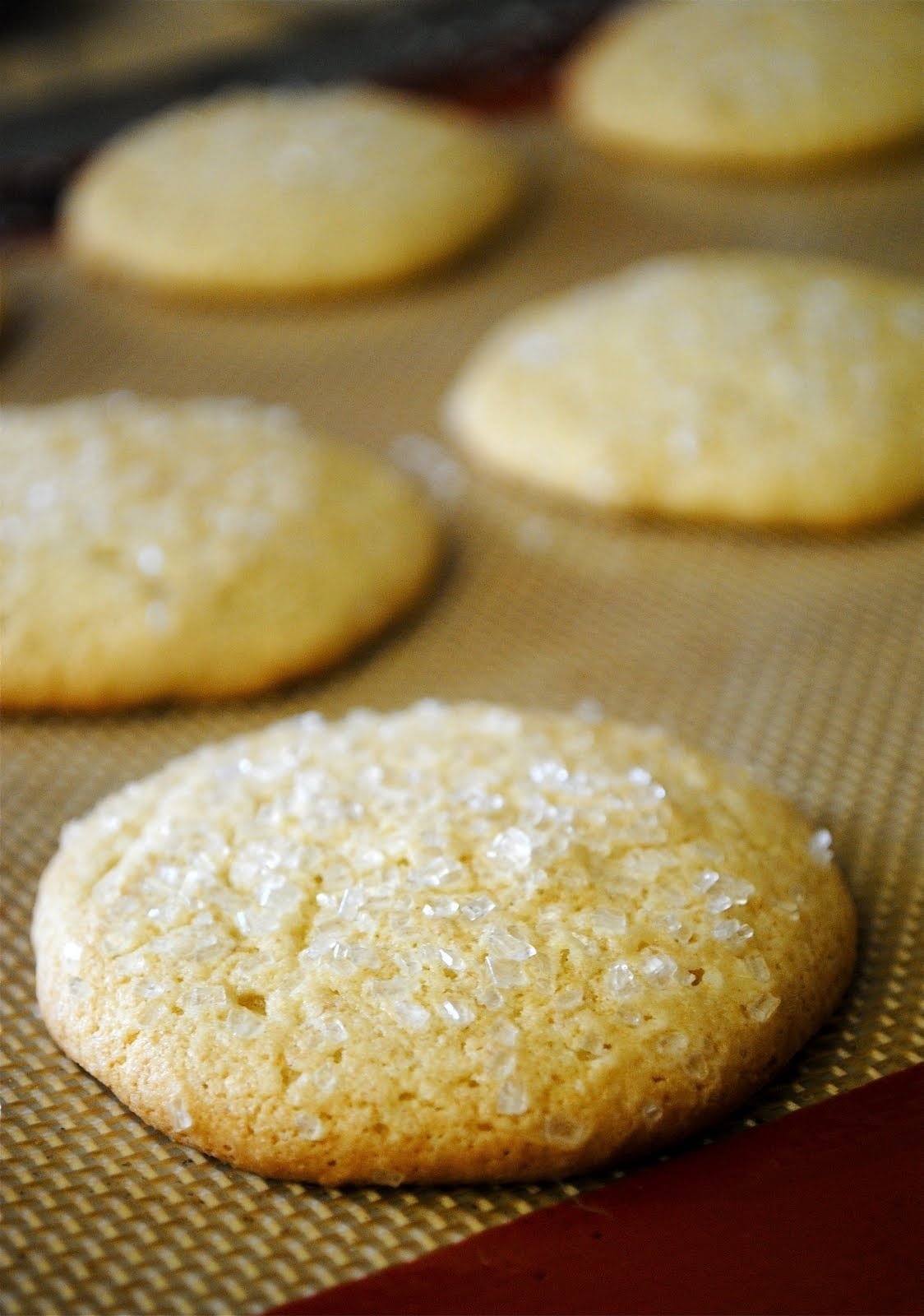 Sour Cream Sugar Cookies