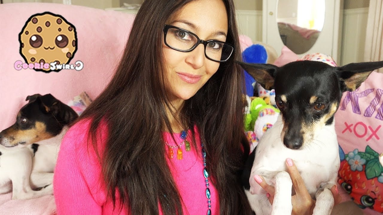 Vlog With Dogs Cookie Swirl C Random Video