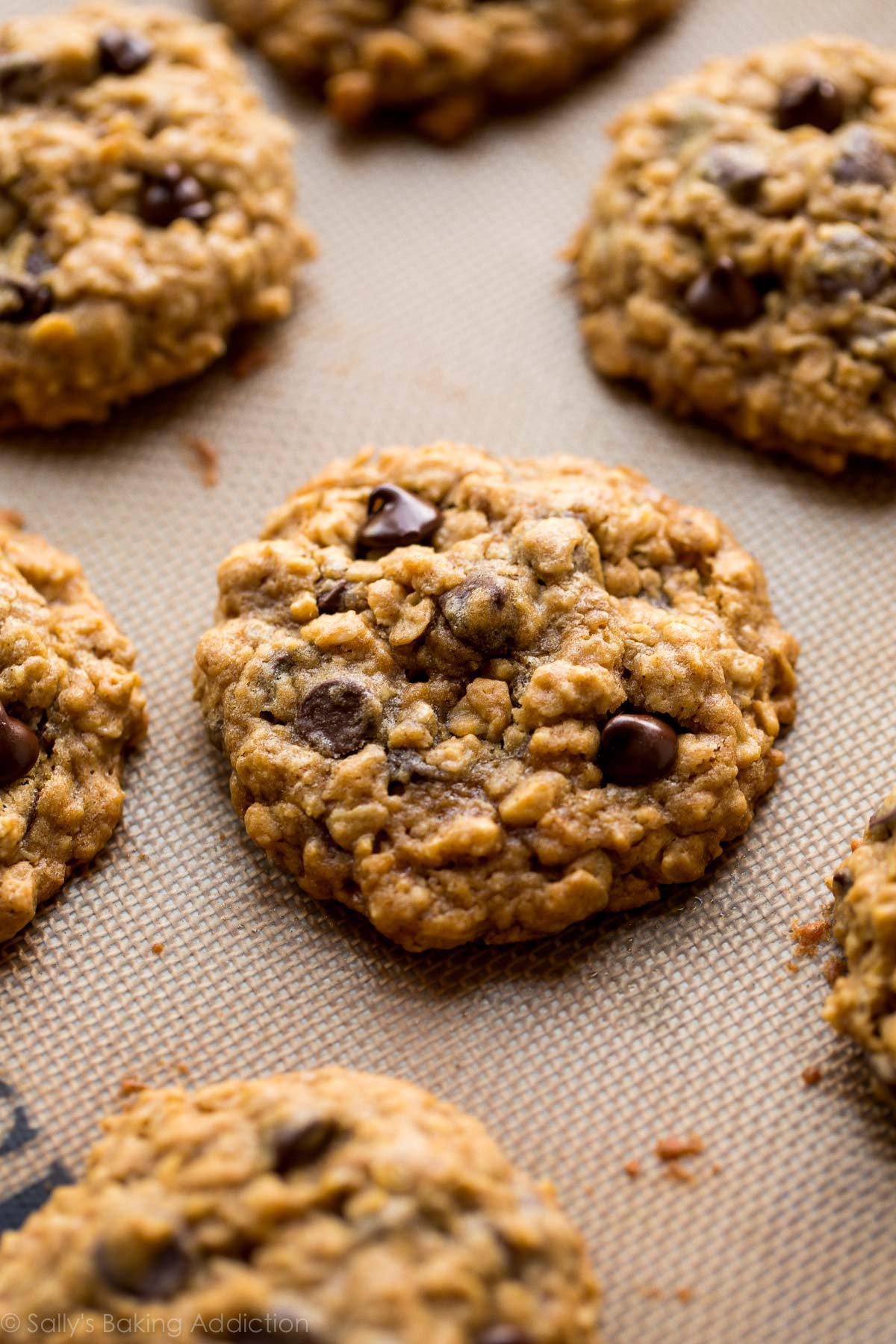 Best Oatmeal Raisin Cookie Recipe