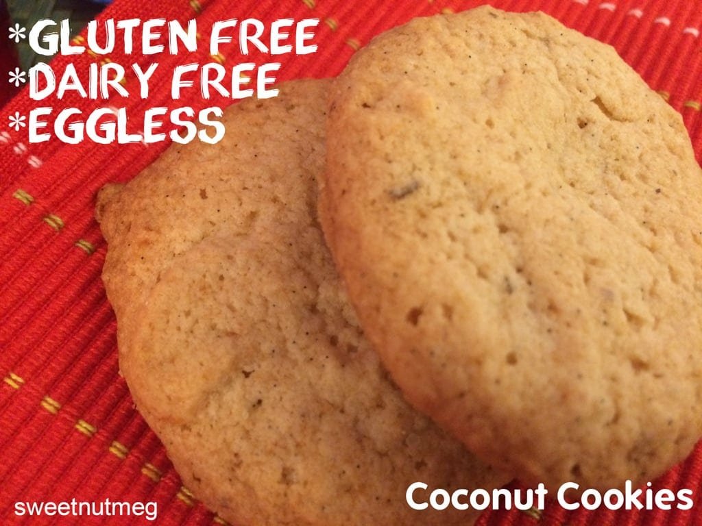 Coconut Cookies  Egg Free Dairy Free Gluten Free Recipe