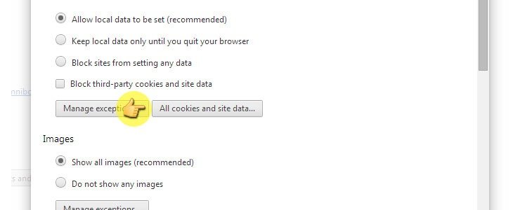 Clear Enable And Manage Cookies In Chrome Computer