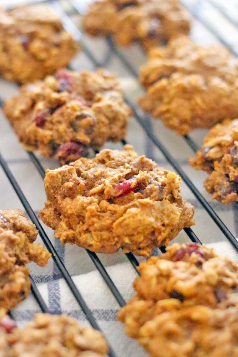 Dark Chocolate And Cranberry Pumpkin Oatmeal Cookies (and A