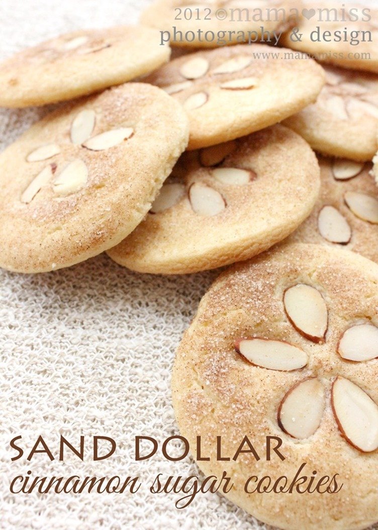 Sand Dollar Cinnamon Sugar Cookies